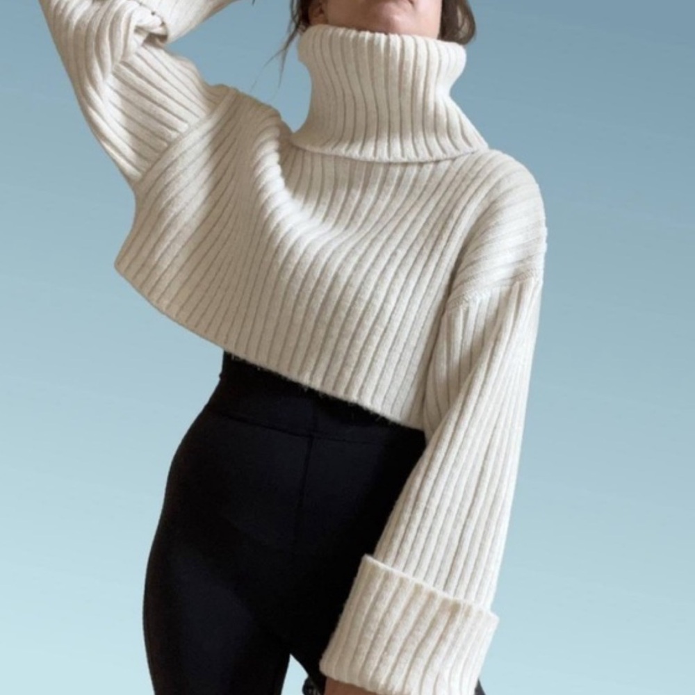 Zara chunky knit ribbed turtleneck cropped sweater